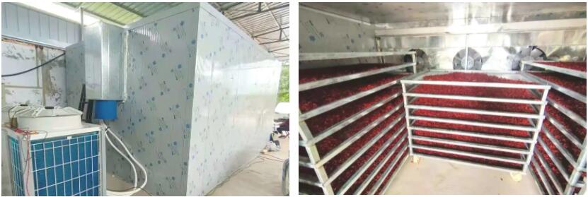 news-Strong spicy flavor and bright color, choose NULITE for chili drying-NULITE-img